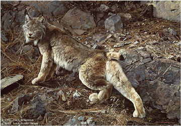 Carl Brenders In Northern Hunting Grounds