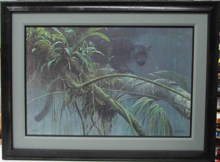 Robert Bateman Shadow Of the Rainforest