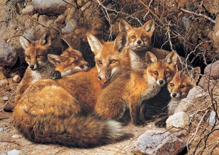 Carl Brenders Full House Fox Family