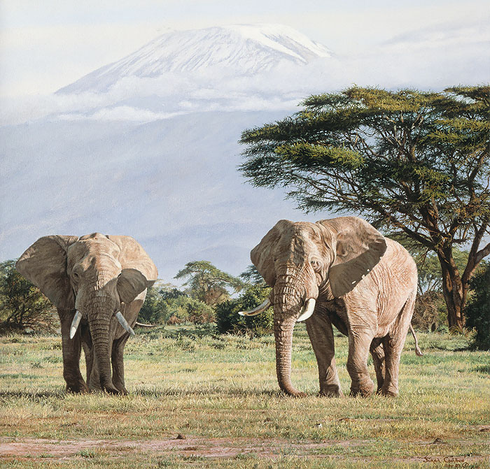 Simon Combes African Ancients Elephants