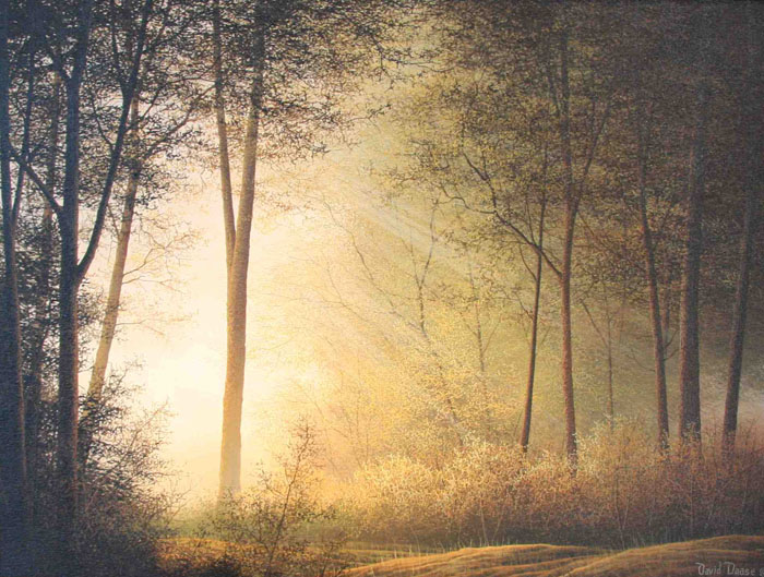 David Daase Beyond The Shadows 