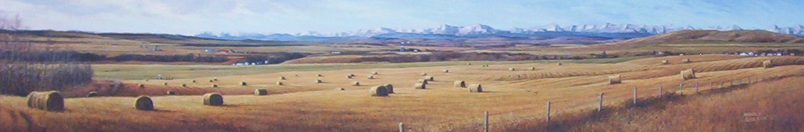 Marla Wilson - Turner Valley