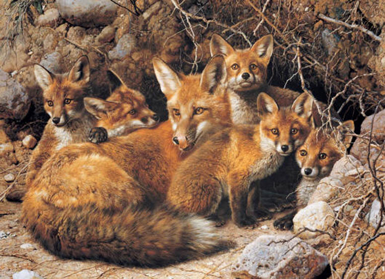 Carl Brenders Full House Fox Familye 