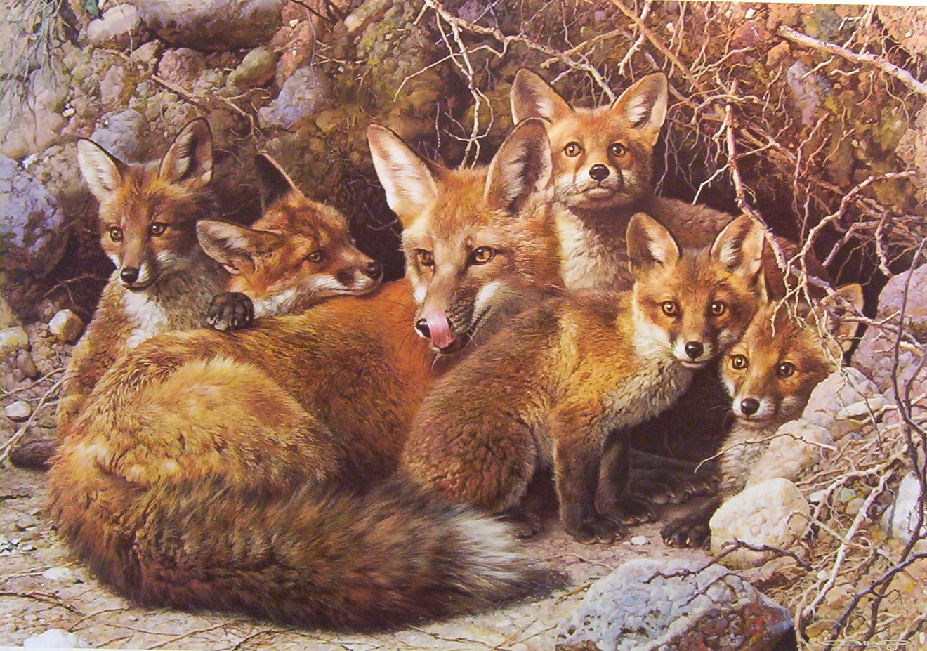 Carl Brenders Full House Fox Family