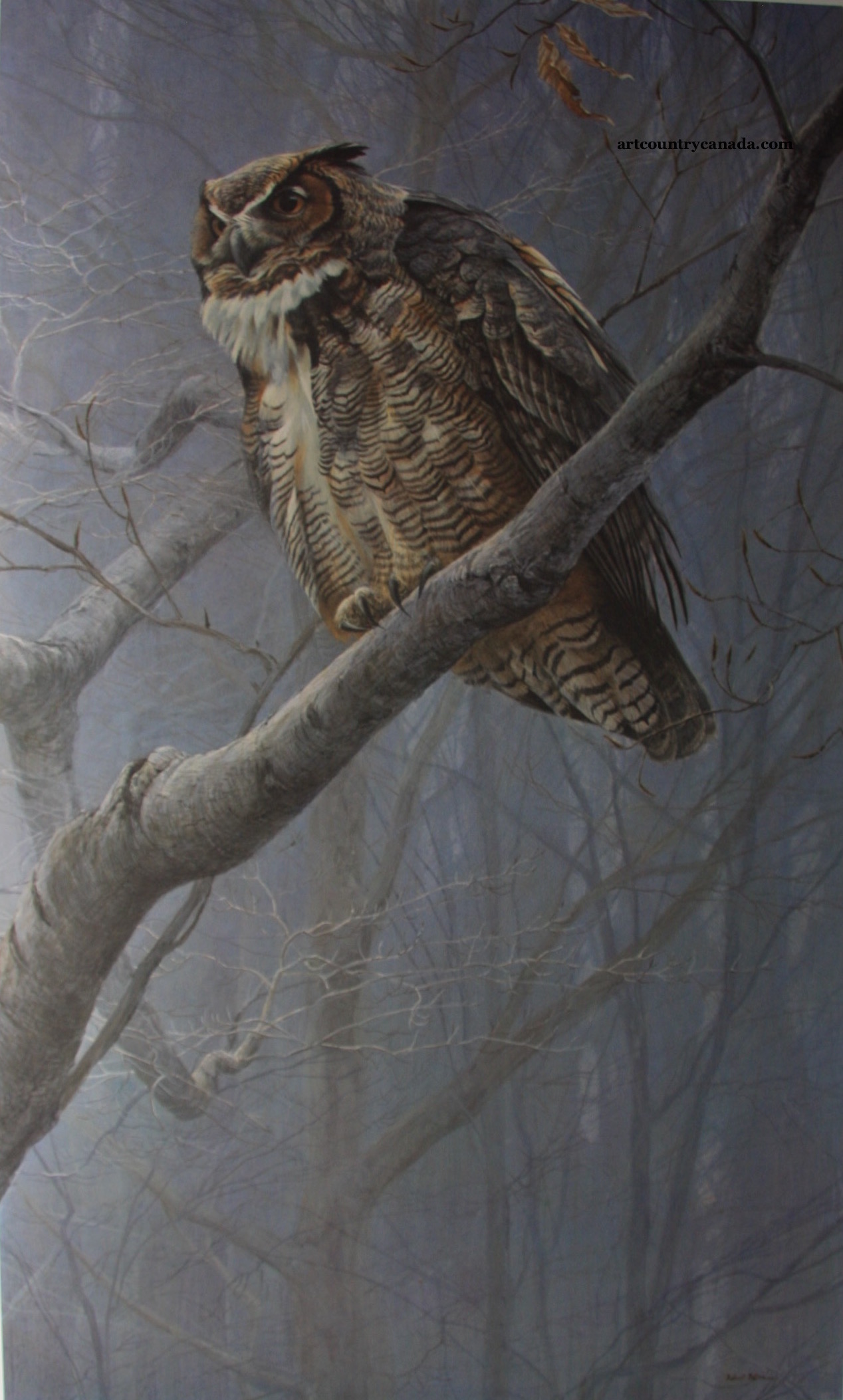 Robert Bateman Winter Mist Owl
