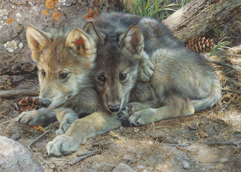 Carl Brenders Brotherly Love Wolf Pups