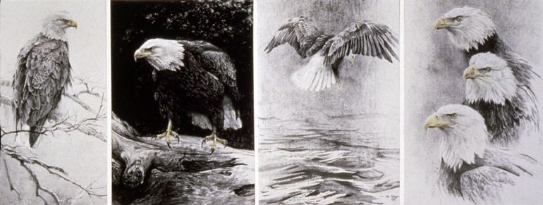 Robert Bateman Bald Eagle Series Original Lithographs