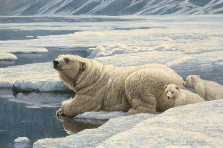Robert Bateman Arctic Family Giclee Polar Bears
