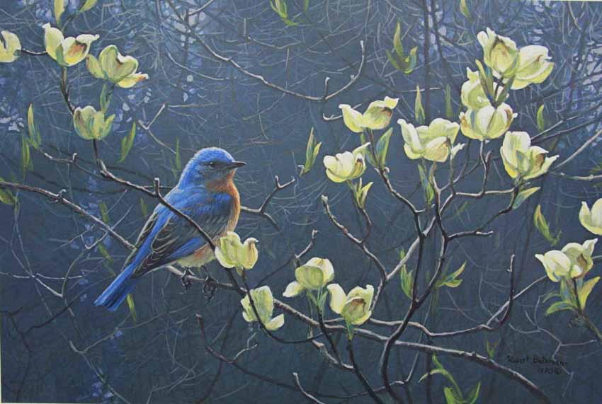Robert Bateman Bluebird and Blossoms
