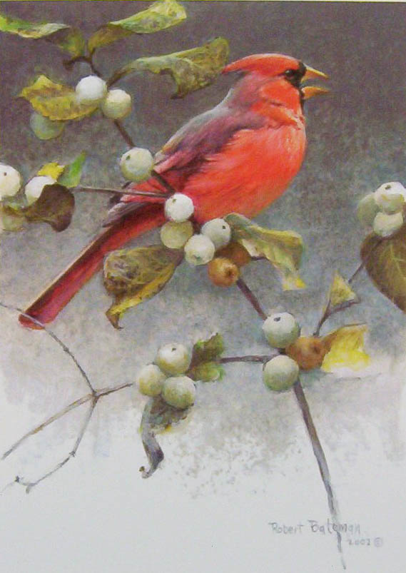 Robert Bateman cardinal And Snowberries