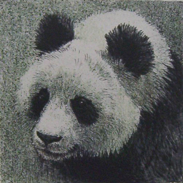 Robert Bateman Giant Panda In The Wild Original Lithograph
