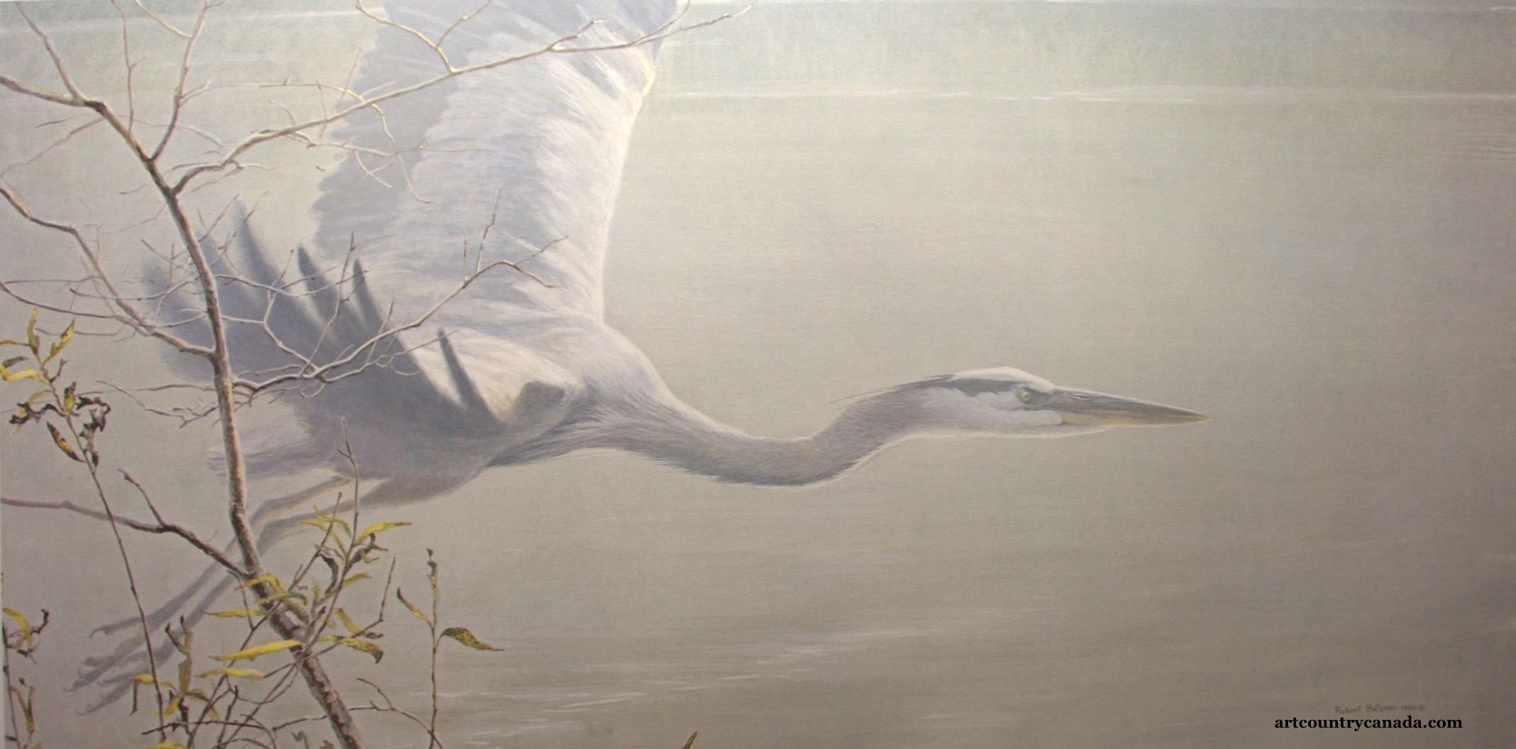 Robert Bateman great Blue heron In Flight