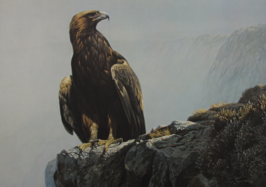 Robert Bateman In The Highlands Golden Eagle