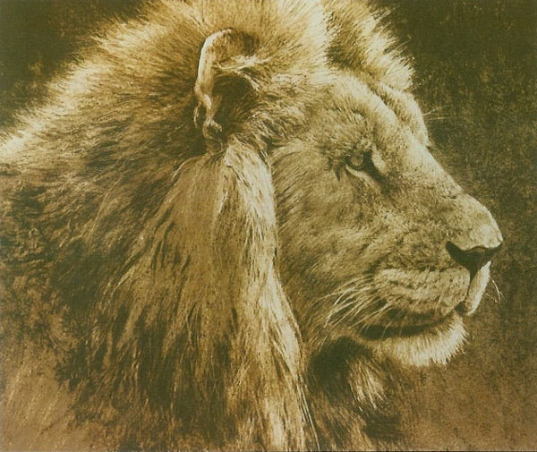 Robert Bateman Lion Head Original Lithograph