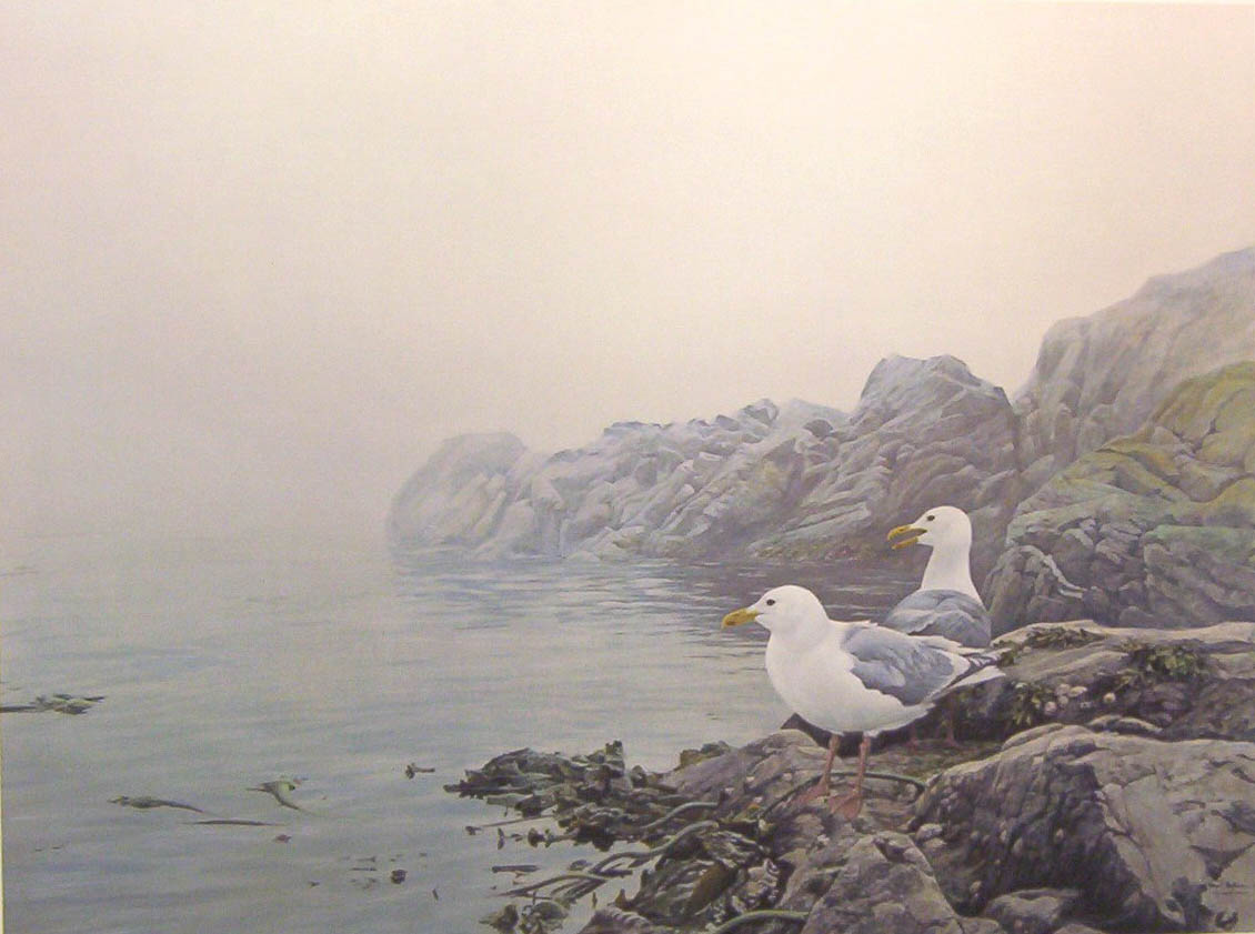 Robert Bateman Misty Coast Gulls