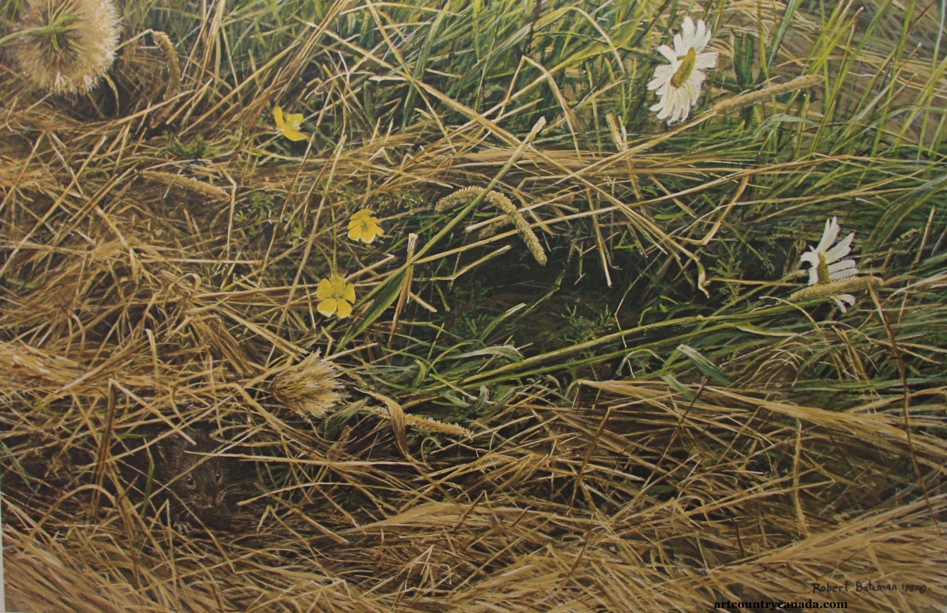 Robert Bateman Mowed Meadow 