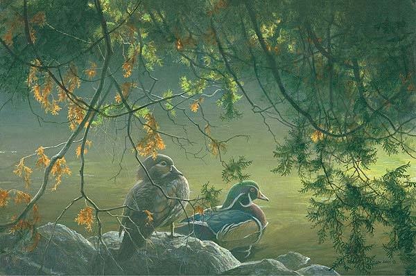 Robert Bateman On The Pond Wood Ducks