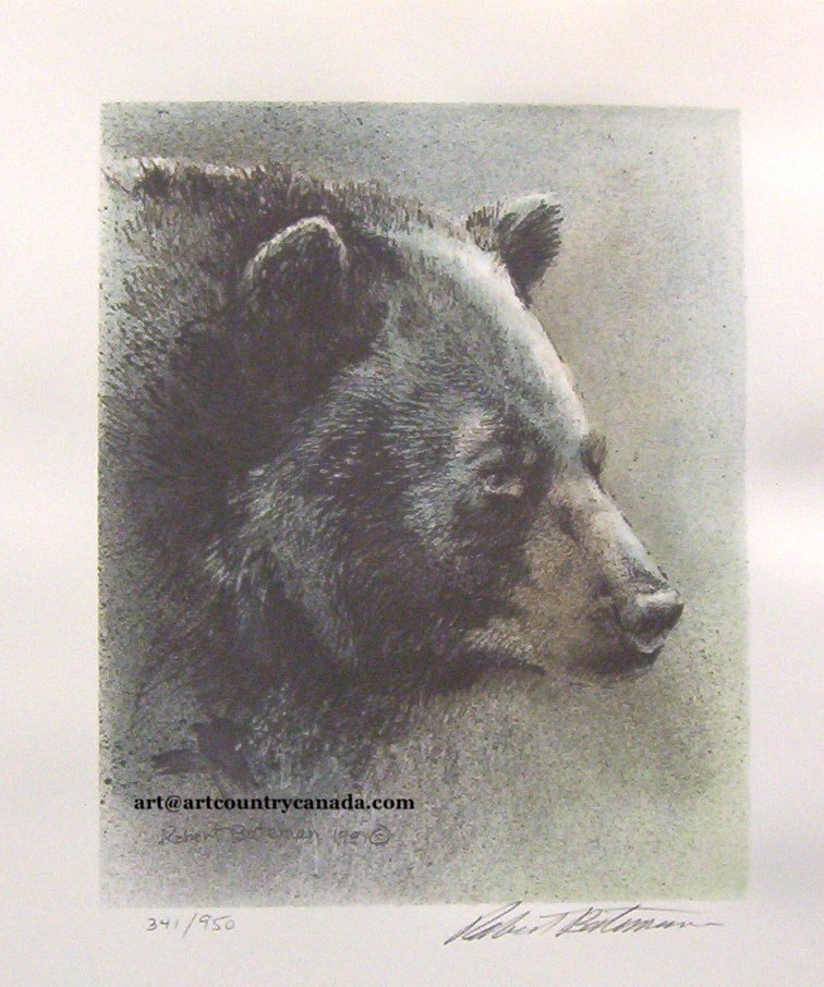 Robert Bateman Black Bear