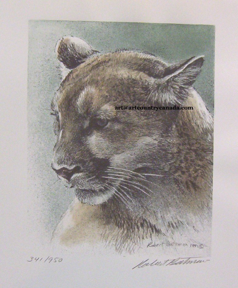 Robert Bateman Cougar Mountain Lion