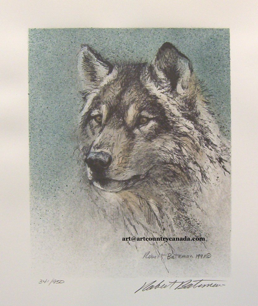 Robert Bateman Wolves Wolf
