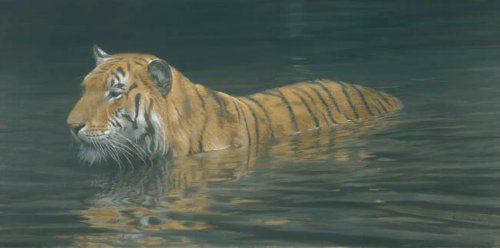 Robert Bateman River Ford Tiger