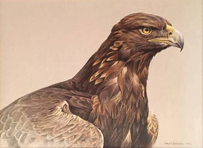 Robert Bateman Golden Eagle Potrait 
