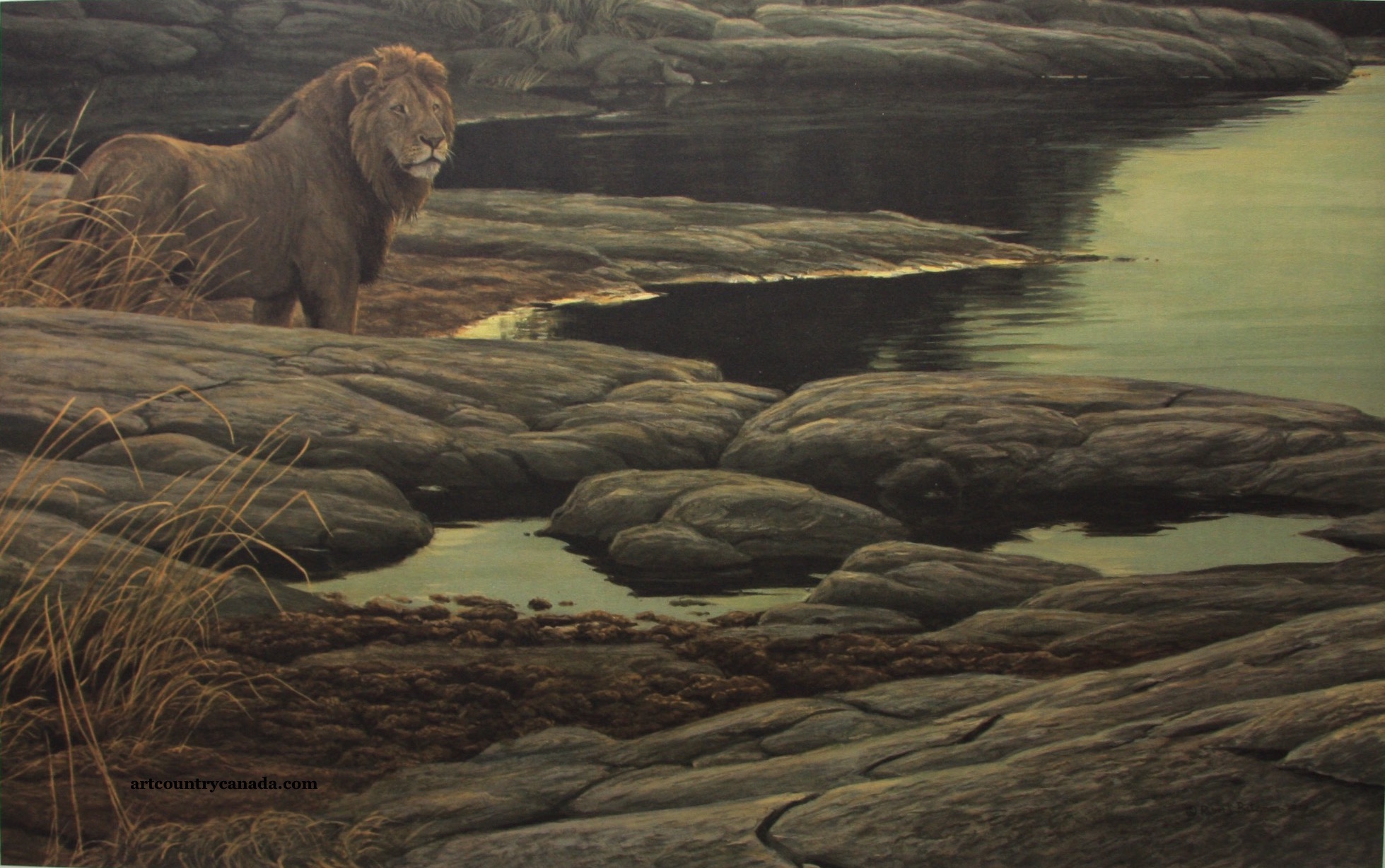 Robert Bateman Lion At Tsavo