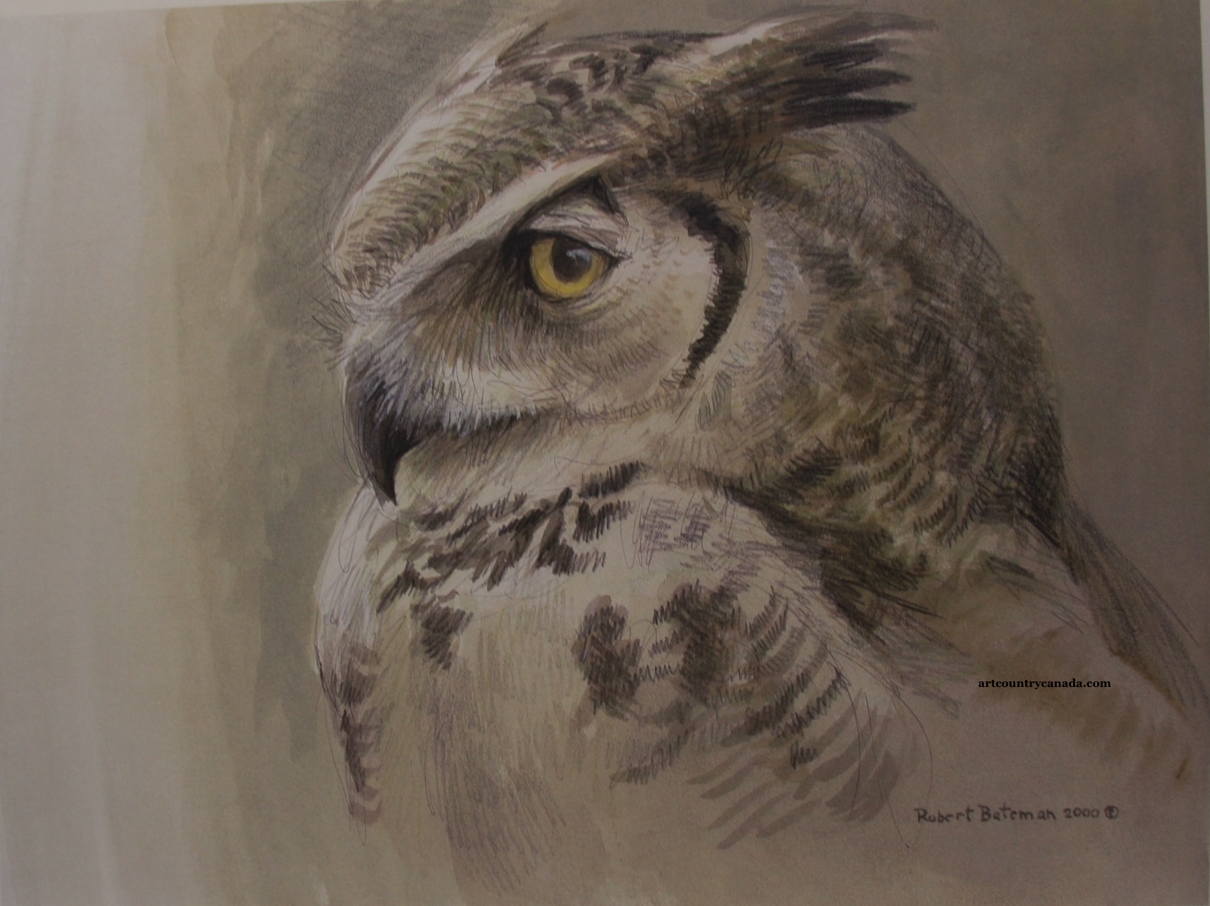 Robert Bateman Samantha Great Horned Owl