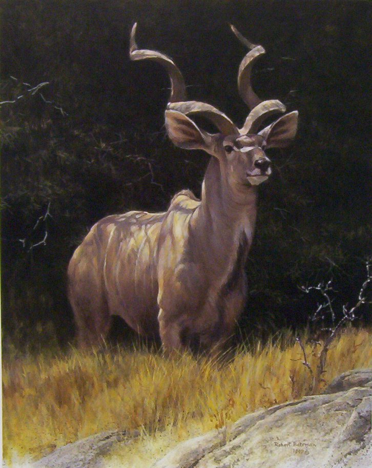Robert Bateman Kudu Bull
