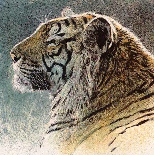 Robert Bateman Siberian Tiger Lithograph