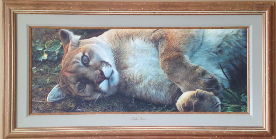 Carl Brenders Good Life Cougar