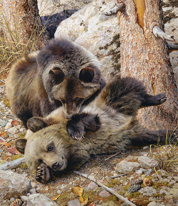 Carl Brenders Rough and Tumble Grizzly Bears