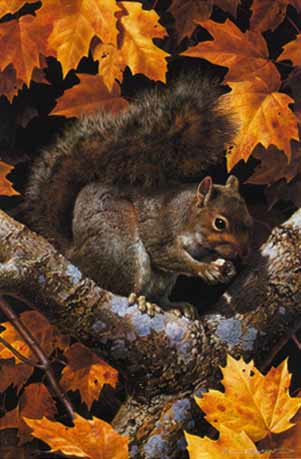 Carl Brenders Golden Season Gray Squirrel 