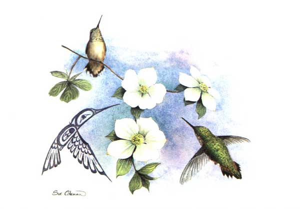 Sue Coleman Hummingbirds