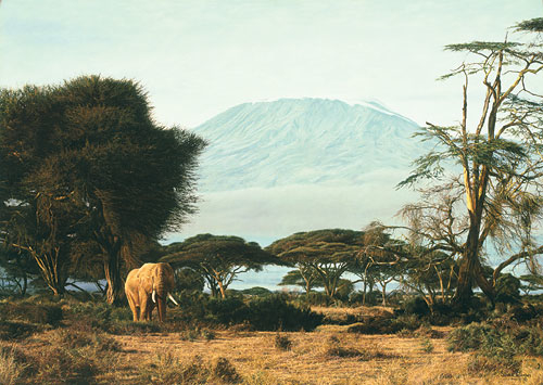 Simon Combes Kilimanjaro Morning