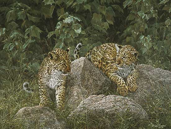 Simon Combes Leopard Cubs
