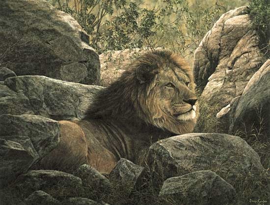 Simon Combes Serengeti Monarch Lion