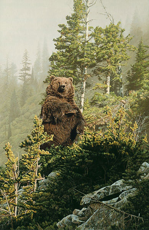 Rod Frederick In Tall TImber Grizzly Bear