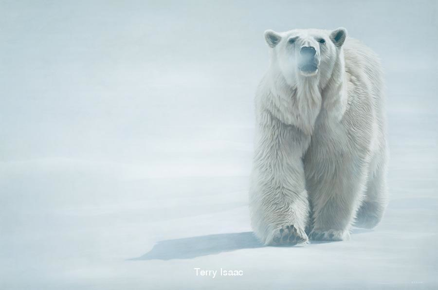 Terry Isaac FaceOff Polar Bear