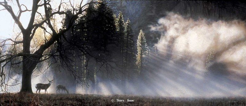 Terry Isaac Yosemite Dawn