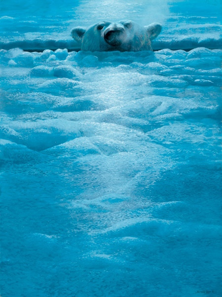 John Seerey-Lester Polar Lookout