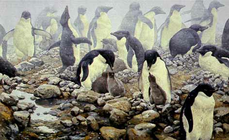 John Seerey-Lester Spring Flurry Adele Penguins