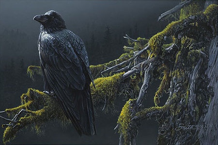 Daniel Smith Mountain Sentinel Raven